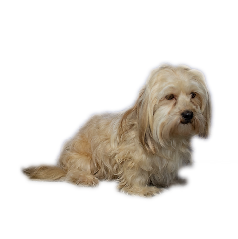 Sunny 20.01.2024.png