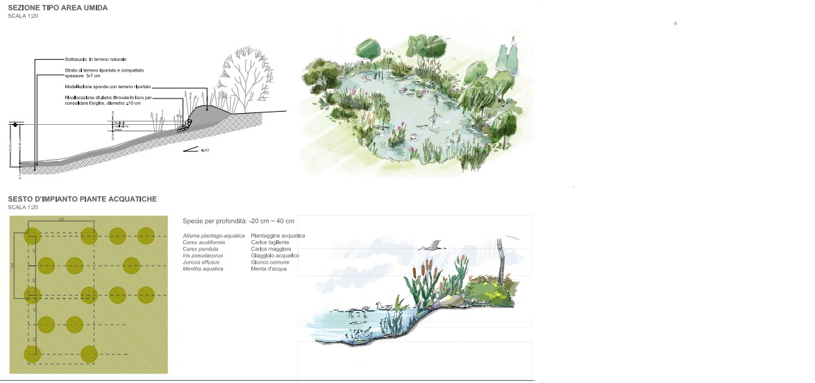 sezione area umida .jpeg