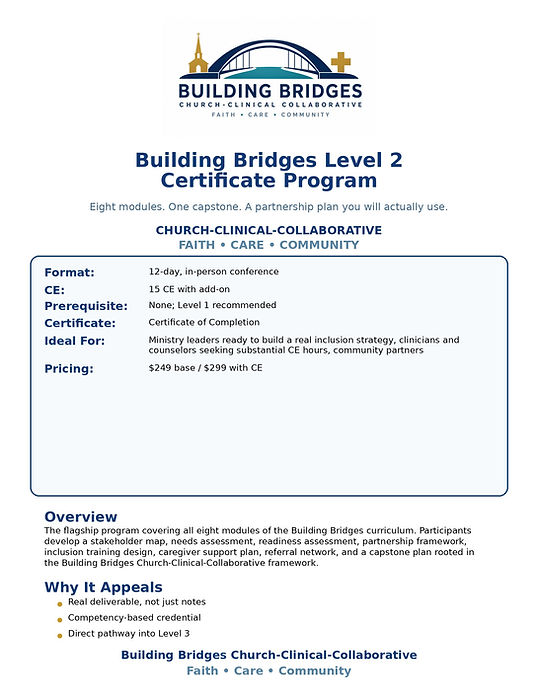 building_bridges_course_2.jpeg
