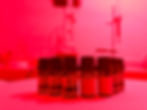 IMG-0665.jpg