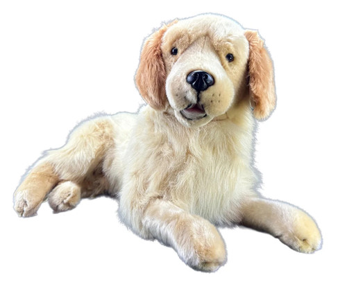 Mudgeeraba Lost Pets Gold Coast Facebook Dog Daycare AAA Pet