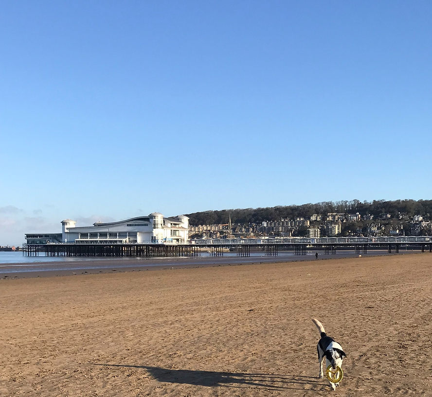 A scenic view of the sandy beach at Weston-super-Mare, showing the iconic Grand Pier, highlighting the beautiful location of the petanque club.