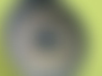 16日は振替休日です