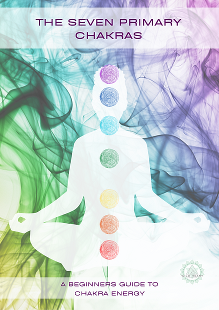 Image - Beginners Guide to The 7 Chakras
