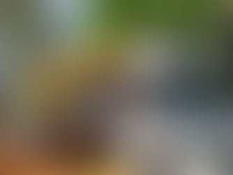 Bir karavan tentesi nasıl olmalıdır?