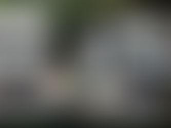 Gülbahar Pansiyon & Camping