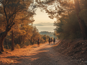 Understanding Marmaris Horse Safari Costs
