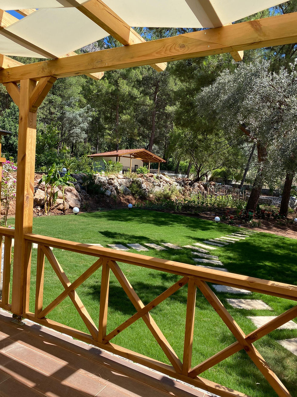 Eye-level view of a tiny house surrounded by greenery in Marmaris