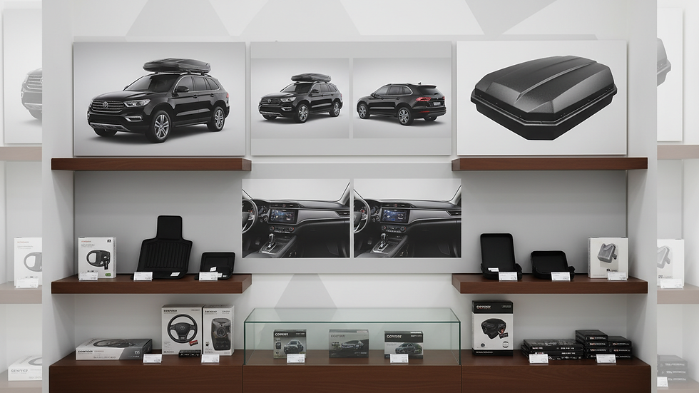 Eye-level view of car accessories displayed neatly in a store
