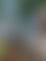 KARAVAN İÇİN AÇIK HAVA MOBİLYASI VE BARBEKÜ SEÇİMİ