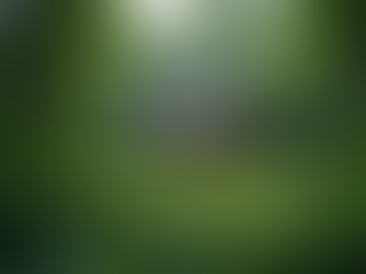 Experience Eco Nature Tourism in Turkey: A Serene Escape to Tranquil Beauty