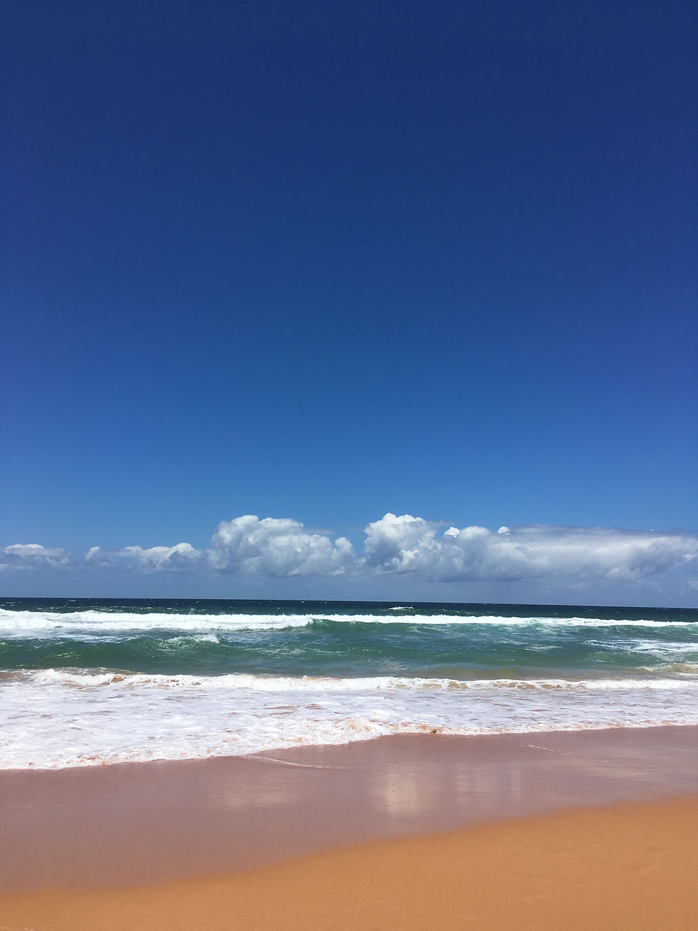 Mona Vale Beach copy.jpg