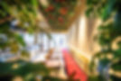 Blick ins Mool Food durch unsere Pflanzenwand