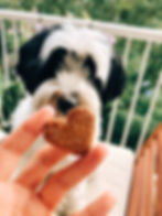 Homemade carrot banana dog treats