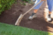 Lawn Leveling