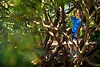 SPP07341-2.jpg