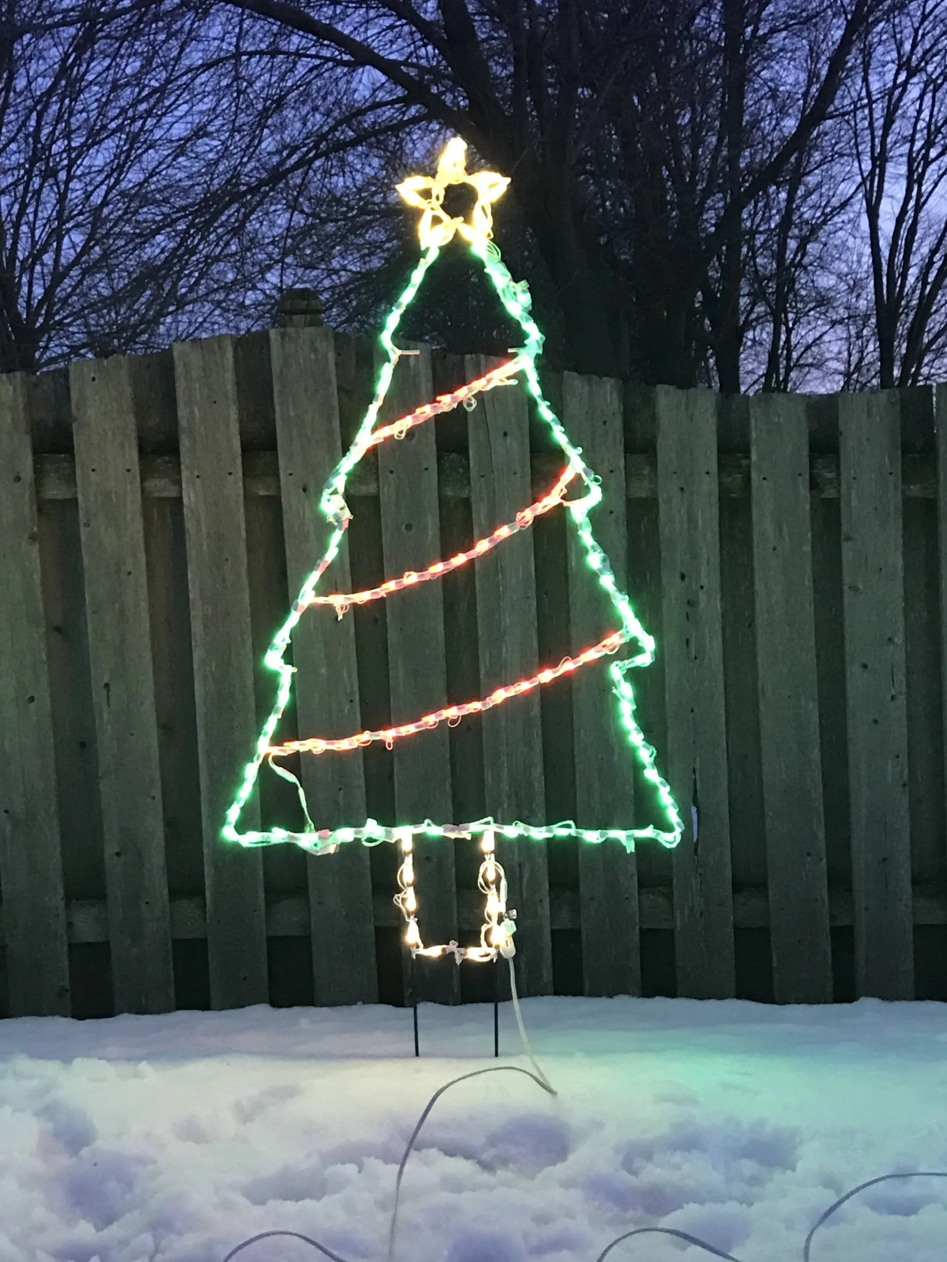 5 foot tree.webp
