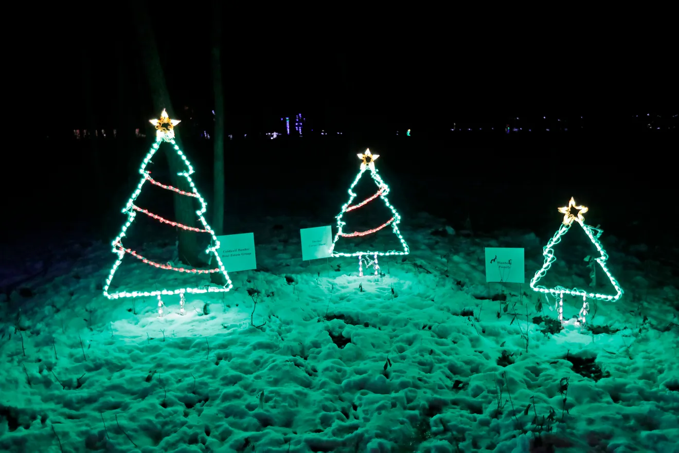 trees.webp