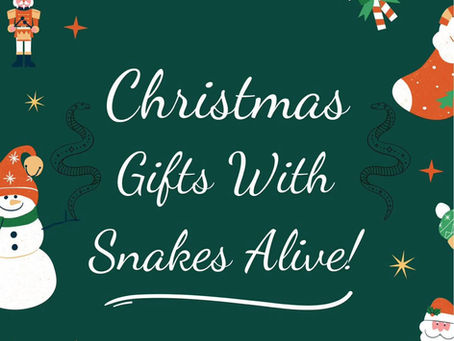 Snakes Alive Christmas Gift Ideas.