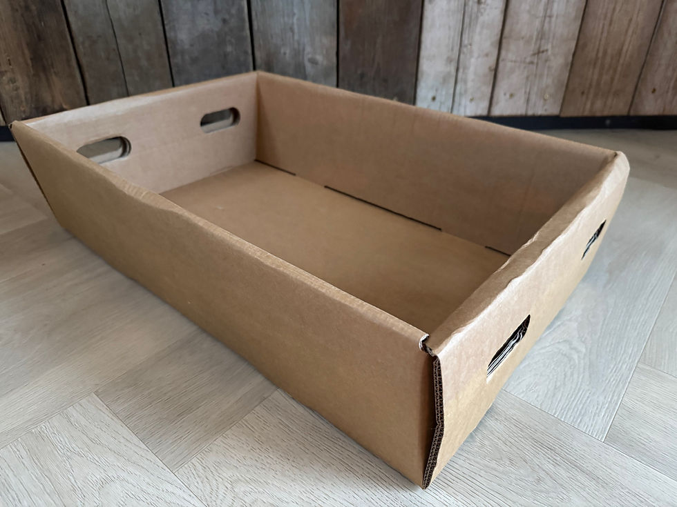 Thumbnail: Dierengrafkist L