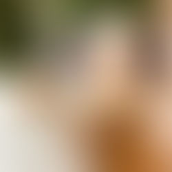 Peppermint Mocha Overnight Chia Protein Oats