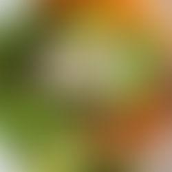 Easy Teriyaki Salmon Bowls