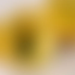 HIGHER PROTEIN EGG BITES