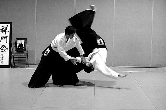 aikido_001.jpg