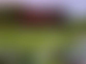 BOC Founders Day Golf Tournament - Sponsorship Opportunities