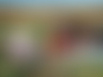 The Heart of the Farm: Growing with Pride: Meet Leon Etchepare