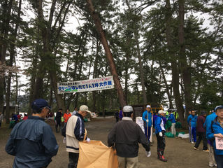 クリーンはしだて1人1坪大作戦 cleaning of Special Scenic Sight, Amanohashidate