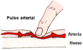 pulso2.gif