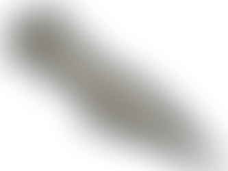 This is a Blog 