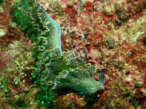 P3022084 (2)