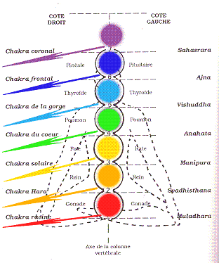 CHAKRAS4.gif