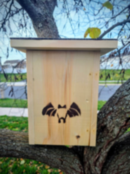 Wood Bat Box