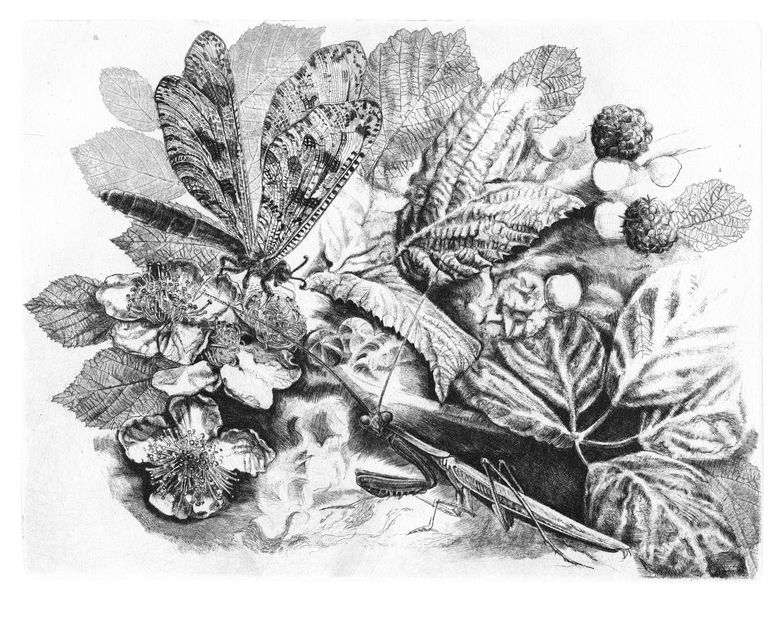 Incontri ravvicinati