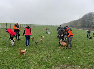 Hundeschule Carnuntum Erik Koczi