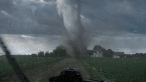intothestorm_l.gif
