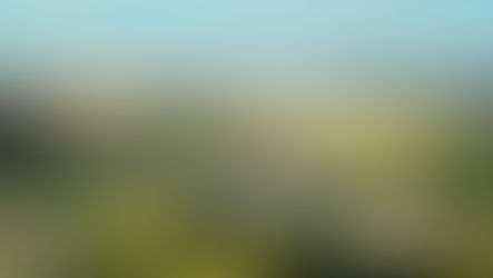 Testa marks the first step towards a prosperous Airport City Berlin