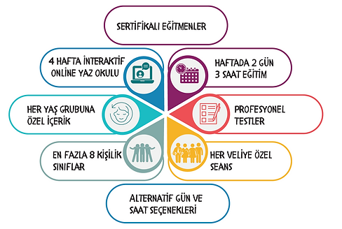 Yaz Okulu 2.png