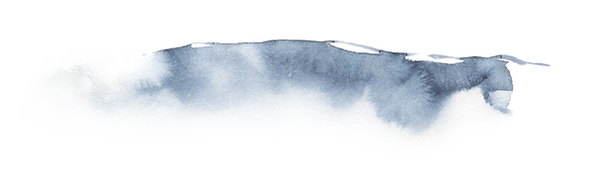 SHAPE_5 (2).png