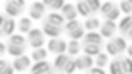 Montage Logo.jpg