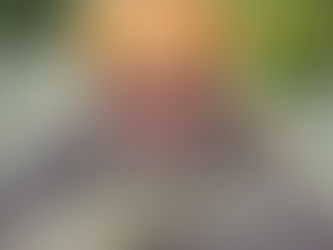 شيخ روحاني مجاني صادق