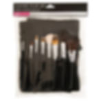 Salon Services Cosmetic Brush Set