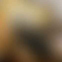 マインドフルネスワークショップ♪