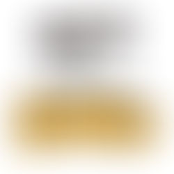 るりパンサブスク♪