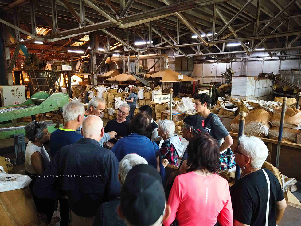 Lockhart tea factory tour - best tea factory for visitors