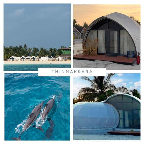 Beachfront tent accommodation at Thinnakara Island Resort
