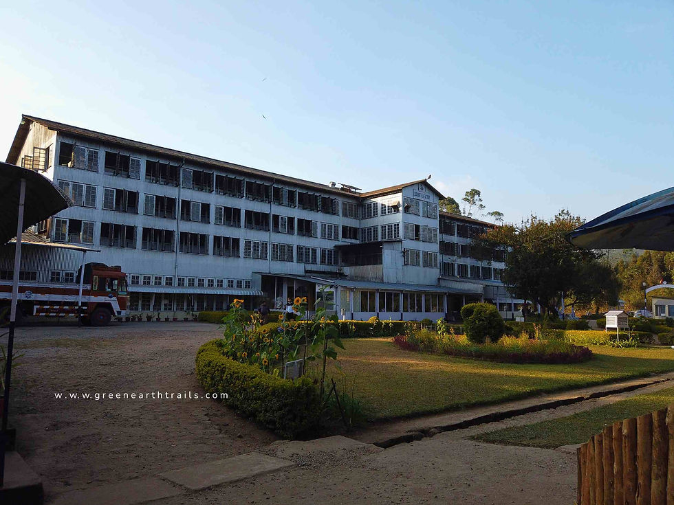 Lockhart tea factory Munnar